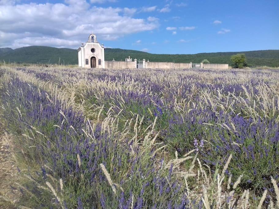 Gite Les Granges Dans Ferme Provencale. 14 Pers Ongles Exterior photo