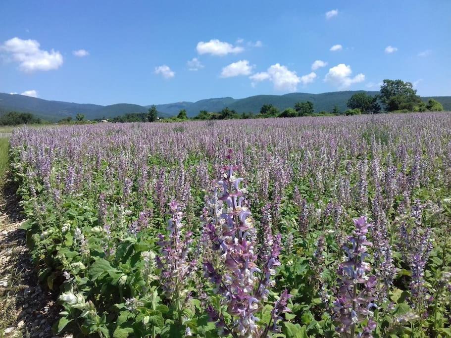 Gite Les Granges Dans Ferme Provencale. 14 Pers Ongles Exterior photo