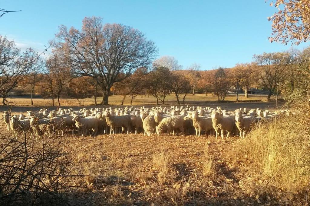 Gite Les Granges Dans Ferme Provencale. 14 Pers Ongles Exterior photo