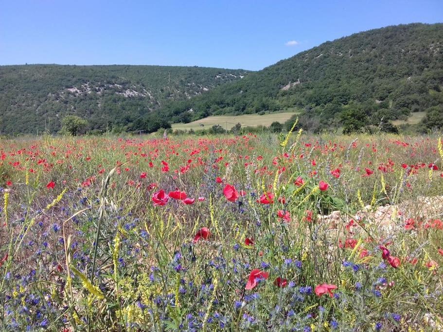 Gite Les Granges Dans Ferme Provencale. 14 Pers Ongles Exterior photo