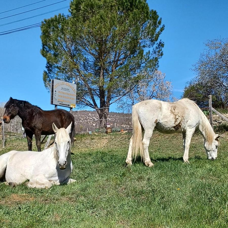 Gite Les Granges Dans Ferme Provencale. 14 Pers Ongles Exterior photo